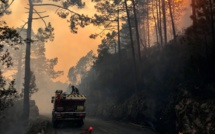 Le point sur l'incendie qui a détruit plus de 1000 hectares entre Quenza et Solaro