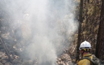  9 feux de végétation en Haute-Corse malgré l'interdiction des écobuages 