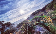 La photo du jour : coucher de Soleil sur Sollacaro