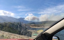 Départ de feu à Pietracorbara : 8 hectares déjà parcourus par les flammes