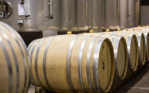 Sortie du  CCAS de Calvi  à Patrimonio