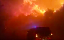 VIDEO - 230 hectares en feu à Olmeta di Tuda