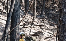 Feu de Bavella : Le point sur la situation à 18 heures de ce mardi