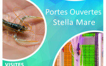Journée portes ouvertes à Stella Mare ce 19 février