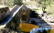 La photo du jour : Le pont génois à E Piane