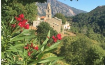 La photo du jour : le village de Muracciole  