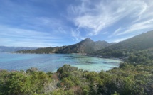 La photo du jour : le sentier des douaniers sous le soleil d'hiver
