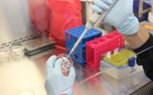  Le coronavirus continue sa progression en Corse : 14 cas à Ajaccio et 5 à Bastia