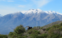 La météo du mardi 17 mars en Corse