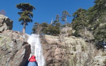 La photo du jour : Spiscia Ratule 