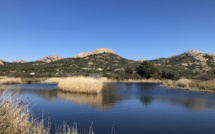 La météo du Jeudi 19 Mars 2020 en Corse