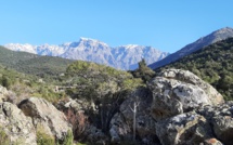 La photo du jour : A Paglia Orba vue de la vallée du Fangu