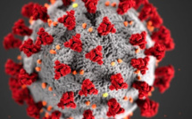 Coronavirus : 12 nouveaux cas en Corse ce jeudi. 164 patients positifs