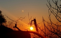 La photo du jour : U sole cum’un lampione ind’a macchja sottu a u Monte Stellu