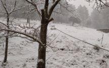 EN IMAGES - Météo : la neige au rendez-vous en Corse