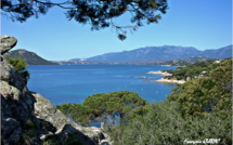 Covid-19 - La qualité de l’air  corse à l’heure du confinement