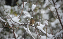 Journal du confinement, jour 10 : "​La beauté de la nature m’apporte sa force"
