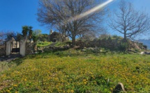 La météo du 28 Mars 2020 en Corse