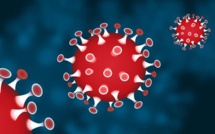 Le Coronavirus circule activement en Balagne en particulier sur L'Ile-Rousse