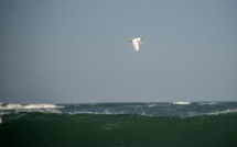 Journal du confinement, jour 16 "Une épreuve ou une expérience ?"