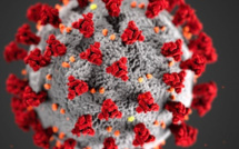 Covid-19 : 4 décès supplémentaires dont 2 dans des EHPAD. 315 personnes positives en Corse