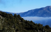 La méto du mardi 14 avril 2020 en Corse