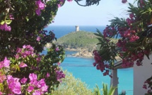 La photo du jour : la tour de Fautea