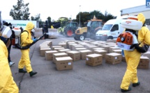 Covid-19. La Collectivité de Corse réceptionne une seconde commande de 500 000 masques à Ajaccio