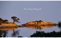 La photo du jour : la Punta d'Acciaghju à Porto- Vecchio 