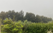 Pollution aux particules fines en Corse : au moins jusqu'à dimanche