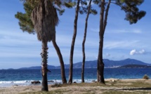 La photo du jour : la plage d'argent de Coti-Chiavari