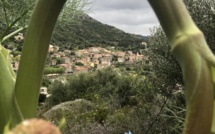 La photo du jour : Urtaca vu du peddi mughju