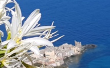 La photo du jour : Fiori d'Erbalonga