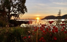 La photo du jour : Lever de soleil sur le golfe de Portivechju