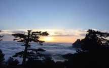 La photo du jour : un lever de Soleil magique à Bavella