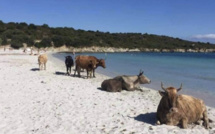 La météo du jeudi 21 mai 2020