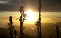 La météo du jeudi 28 mai 2020 en Corse