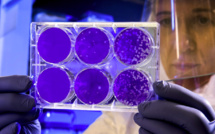 Coronavirus : troisième jour sans nouveaux cas en Corse