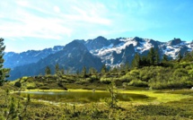La photo du jour : la mare du Stranciacone