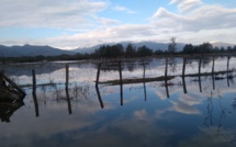 La météo du mercredi 1 juillet 2020