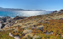 Météo : un mois de juin pluvieux avec des températures en dessous des normales de saison