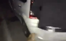 Veau jeté vivant dans le vide : l’auteur présumé jugé ce jeudi en comparution immédiate