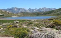La photo du jour : Lac de Ninu, fleuron de la montagne corse