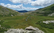 La photo du jour : I pozzi di Bastelica