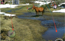 Global Earth Keeper lance une pétition contre l'installation des antennes 4 G sur le plateau du Cuscionu