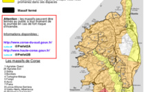 Risque incendie : plusieurs massifs corses en niveau orange ce 1 aout