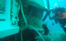 Remorqué vers le port de Porto-Vecchio, le Régis ne risque plus de s'échouer 