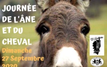 Biguglia : la Journée du cheval et de l’âne aura bien lieu