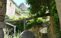 La photo du jour : a magina di Muna