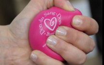 Don du sang : les stocks sont critiques en Corse